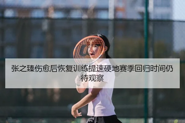 张之臻伤愈后恢复训练提速硬地赛季回归时间仍待观察